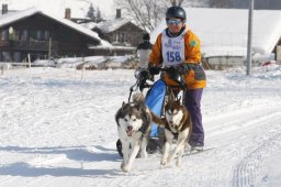 Lenk 2012 SM